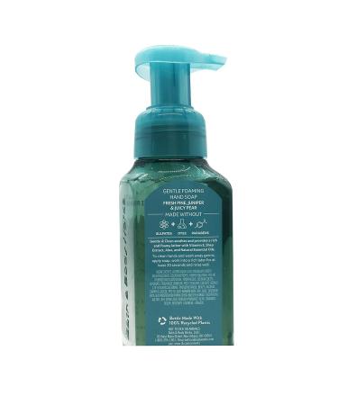 Bath & Body Works Crisp Morning Air Foaming Hand Soap - 2 Pack - Buy Online on GoSupps.com