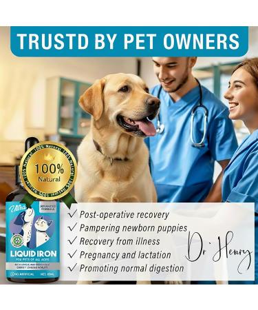 Liquid Iron Supplements for Cats Dogs 60 ML Liquid Iron Support Healthy Red Blood Cells and Energy Levels Support Pet Anemia Natural Safe Formula Quick Absorption 2 Fl Oz(Pack of 1) - Buy Online on GoSupps.com