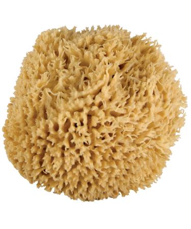 JUST Whoa. Ultra Soft & Really Really Big Sea Wool Bath Sponge JUST WHOA. Really Really Big Bath Sponge