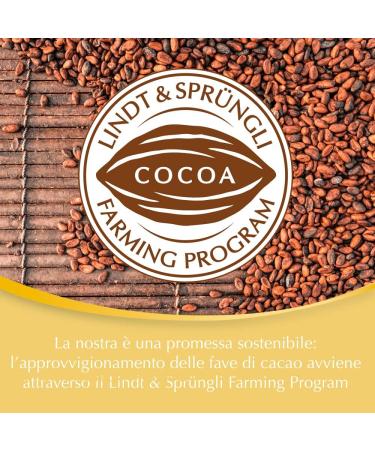 Lindt - Swiss Premium Chocolate Bar - Milk Chocolate Hazelnuts - 300G - Pack of 2 - Buy Online on GoSupps.com