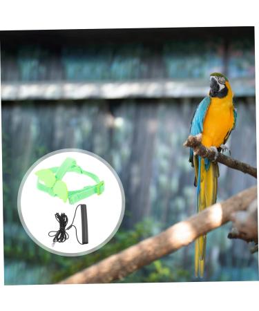Beavorty 5 Sets Bird Leash Suspend Conure Harness Lizard Outdoor Birds Harness Leash Car Supplies 12X6X1.3CMx5pcs Greenx5pcs - Buy Online on GoSupps.com