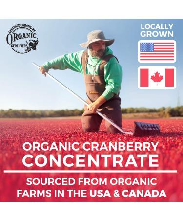 Organic Cranberry Pills 25,000mg - UTI Support & Kidney Cleanse - Vegan - 60 Capsules - Buy Online on GoSupps.com