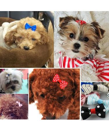 Hixixi 32 Pcs / 16 Pairs Multicolor Beauty Pet Cat Dog Hair Bows Hair Clips Groomin g Accessories 1.6"x0.9" Pink Black Heart - Buy Online on GoSupps.com