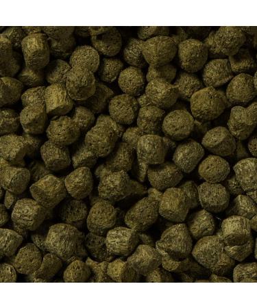 Buy Sera Koi Color Nature 1 Ltr - Natural Color Enhancer with Spirulina for Vibrant Koi - No Colors or Preservatives - 6mm Pellets - International Shipping Available - Buy Online on GoSupps.com