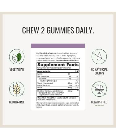 Nature's Way Sambucus Elderberry Gummies - 60 Standardized Gummies for Immunity Boost - Buy Online on GoSupps.com