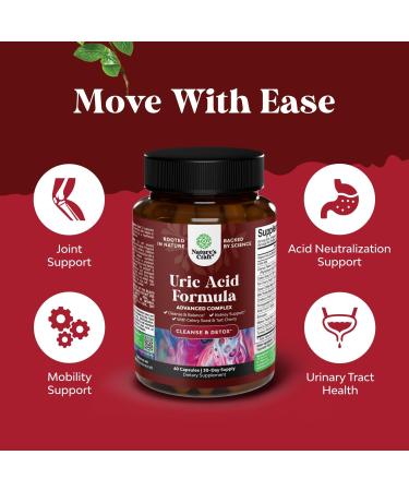 Bundle of Green Coffee Bean Extract for Uric Acid Cleanse & Detox - Turmeric Tart Cherry & Celery Seed and Fiber Gummies for Adults - Chicory Root with Prebiotic Support for Gut & Digestive Health - Buy Online on GoSupps.com