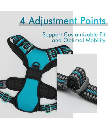 Rabbitgoo Medium Dog Harness - No Pull Adjustable Breathable with Reflex Stripes - Safe Control for Large Dogs - Blue Green (1 Pack) - Buy Online on GoSupps.com