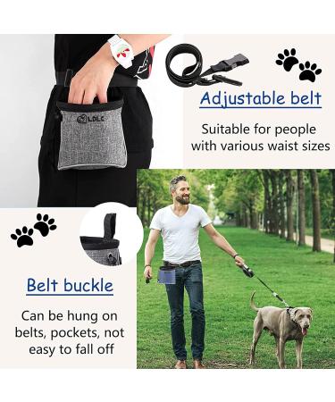 Waterproof Dog Treat Bag - Adjustable Waist Belt, Hand-Free Walking Pouch for Training & Travel (Grey) - Buy Online on GoSupps.com