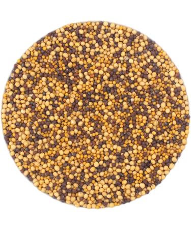  PEPPERMINTMAN PEPPERMINTMAN Organic Coloured Trio Mustard 250g German Culture Mix of Black and Brown and Yellow Mustard Grains Seasoning Mustard Preparation Green Fertiliser - PEPPERMINTMAN - Buy Online on GoSupps.com