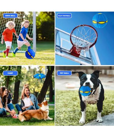 Interactive Dog Toys: Magical Flying Disc & Frisbee Ball for Pets - Fun & Engaging! - Buy Online on GoSupps.com
