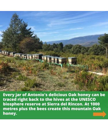 Antonio's Raw Certified Organic Oak Honey - Antibacterial Mountain Honey - Unpasteurised - Single Origin - 500g Pack - The Raw Honey Shop - Buy Online on GoSupps.com