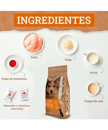 Yerbero Nature Chicken and Rice Premium Dog Food 10 kg - Buy Online on GoSupps.com