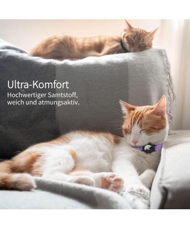 Jiaarui Airtag Cat Collar - Soft GPS with Apple AirTag Bracket & Bell Light Tracker for Young Cats (Purple) - Buy Online on GoSupps.com