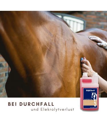 Supravit Electrolytes for Horses | 1000ml Dosing Bottle | Supports Hydration & Recovery from Sweating Diarrhea & Electrolyte Loss - Shop Internationally - Buy Online on GoSupps.com
