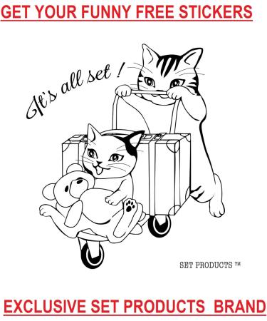  Racines 100% Natural BISSAP Infusion 100% Natural Hibiscus or Bissap Flower Infusion + 100% Natural Set Products Stickers 25 x 1.7g Bags  - Buy Online on GoSupps.com