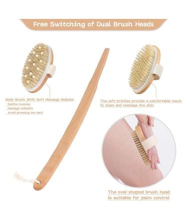 Set of 3 Dry Body Shower Brushes for Cellulite Reduction and Lymphatic Drainage - Buy Online on GoSupps.com