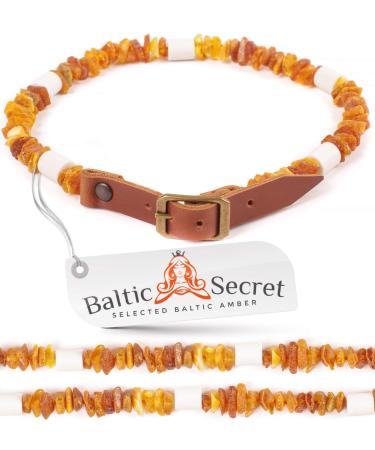 Amber necklace for dogs with EM ceramic pipes - Effective MICROORGANISMS - Amber collar for dogs - Amber - Tick protection 45-50 cm - Buy Online on GoSupps.com