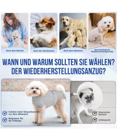 Buy Eyein Dogebody After Op - Breathable Soft One-Piece for Dogs | Wound Protection with Zipper & Belt | E-Neck Band Alternative | Gray XXL - International Shipping Available - Buy Online on GoSupps.com