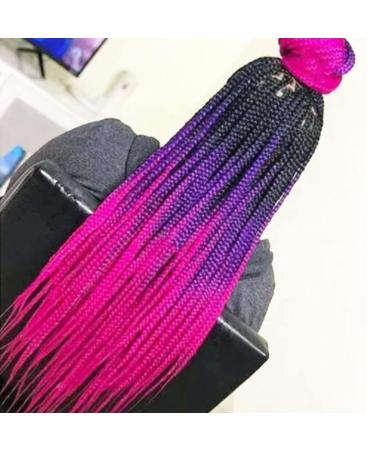 LDMY Jumbo Braiding Hair Extensions - 6PCS Pack 24 Ombre Black Purple Rose Synthetic Kanekalon Hair for Women & Girls - 100g/PC - Buy Online on GoSupps.com