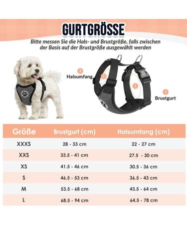 Slowton Dog Harness - No Pull Safety Harness for Small & Medium Dogs | Soft Padded & Breathable Design - Buy Online on GoSupps.com