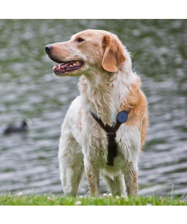 Simplethings Waterproof Airtag Dog Collar - Anti-Loss Silicone Holder for Dogs & Cats | Compatible with Apple Airtag GPS Tracker - Black & Midnight Blue M-22mm - Buy Online on GoSupps.com