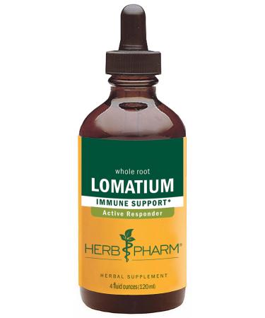 Herb Pharm Lomatium Liquid Extract for Immune System Support - 4 Ounce - Buy Online on GoSupps.com