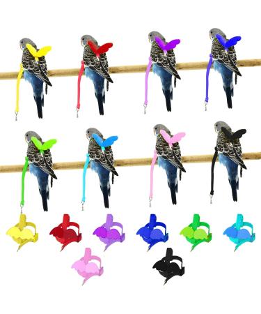 Adjustable Pet Parrot Bird Dishes & Leash | Anti-Bite Design & Nylon Rope for Alexandrin Scarlet Red & Keck Birds - Buy Online on GoSupps.com