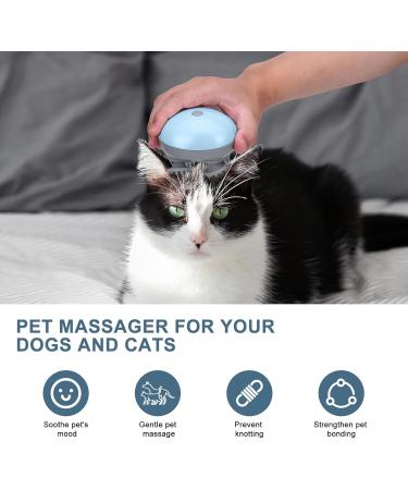 Ankilo Wireless Electric Head & Body Massager - IPX7 Waterproof 4 Interchangeable Kneading Heads Ideal for Scalp & Pet Massage - Blue Gray - Buy Online on GoSupps.com