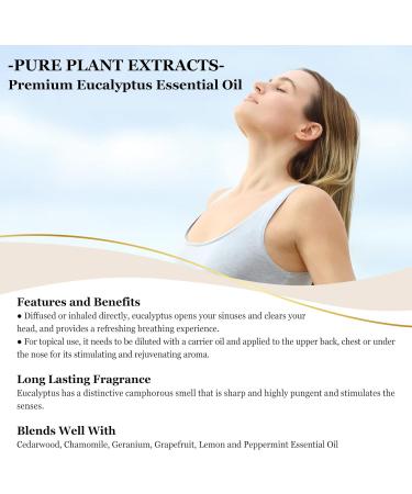 EUQEE Eucalyptus Essential Oil 10ml Pure Eucalyptus Oil Essential Oil Aromatherapy Essential Oils for Diffusers Eucalyptus 10 ml (Pack of 1) - Buy Online on GoSupps.com