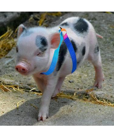 Buy Woyous Mini-Pig Crockery Set - Adjustable 2-Part Dishes for Small Pigs & Rabbits | Leash Included | Perfect for Walking & Jogging - Multi-Colored - Buy Online on GoSupps.com