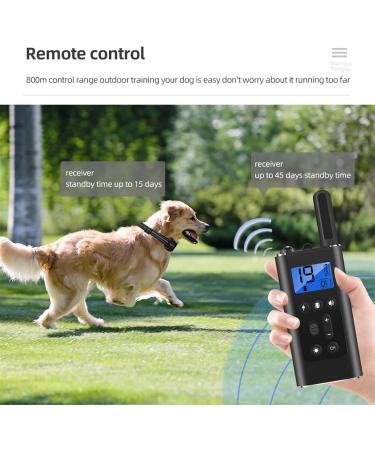 Classic Dog Collars - Waterproof Nylon Breathable Easy to Handle for All Sizes - Shop Now! - Buy Online on GoSupps.com