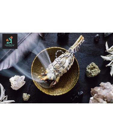 ORGANIZE Leanbeing 100 Gms Dried Sage Leaves for Tea Whole Smudge Smudging Energy Reiki Removes energy blocks - Buy Online on GoSupps.com