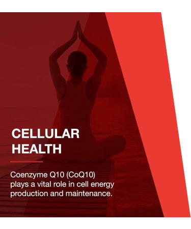 Buy Protocol Liquid CoQ10 for Heart Health Antioxidants Nutritional Supplement with Vitamin B6 & B12 NAD & D-Ribose for Energy 4 fl oz - International Shipping Available - Buy Online on GoSupps.com