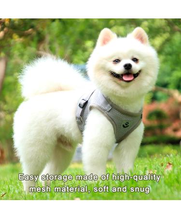 GWAWG Cat Harness and Lead Set Escape Proof Kitten Harness Soft Mesh with Metal Ring for Walking Travel S Grey - Buy Online on GoSupps.com