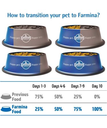 N&D Ocean Dog Codfish Pumpkin and Orange Adult Mini 800G - Buy Online on GoSupps.com