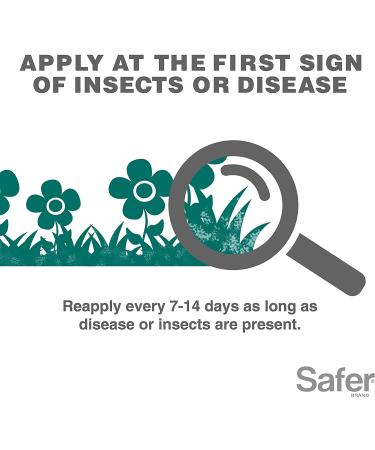 Safer Brand Neem Oil Concentrate Insecticide Miticide Fungicide for Plants | Organic OMRI Listed Solution for Insects, Mites, and Fungal Disease - Buy Online on GoSupps.com
