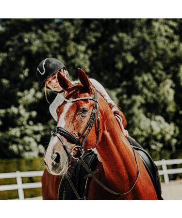Buy SUNRIDE Divisible Leather Reins for Horses | Soft Genuine Leather | 255 cm Black Pony Reins - Best Quality for International Shipping - Buy Online on GoSupps.com