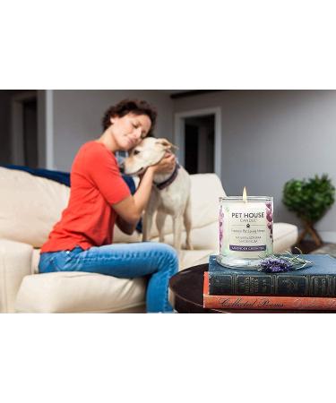 One for All Pet House Candle - Bamboo Watermint | Natural Soy Wax | 15 Scents for Animal Odor Removal - Buy Online on GoSupps.com