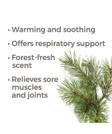 Buy Plant Therapy Scots Pine Essential Oil 30 mL | 100% Pure Undiluted & Therapeutic Grade - International Shipping Available - Buy Online on GoSupps.com