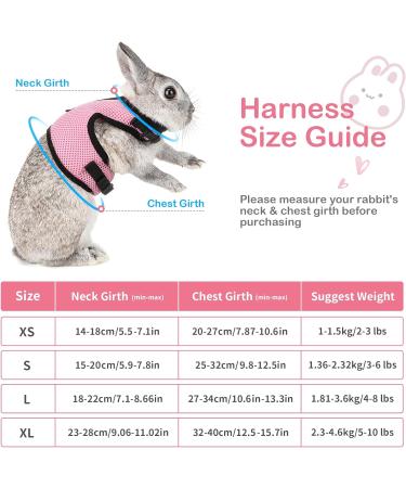 Adjustable Soft Rabbit Dishes with Elastic Leash for Small Pets - XL (34-42cm) - Pink Kitty & Bunny Walking Accessories - Buy Online on GoSupps.com