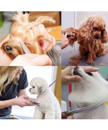 ISEAFLY 5-in-1 Dog Grooming Set - Stainless Steel Shears for Full Body Face Nose & Ear Care | Ideal for Cats & Dogs - International Shipping Available - Buy Online on GoSupps.com