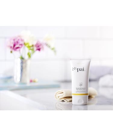 Pai Skincare - Brighten | CURTAIN CALL Prebiotic Brightening Mask Omegas 3 6 7 & 9 Antioxidant CO2 Rosehip. Patch Tested on Sensitive Skin. B-Corp Organic Cruelty Free Vegan Made In London. 2020 - Buy Online on GoSupps.com
