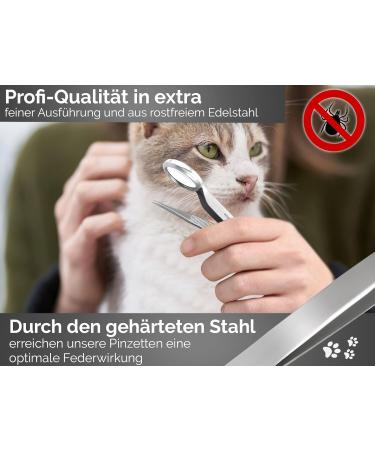 Premium Stainless Steel Tweezers with Magnifying Glass Point - Precision Eyebrow & Craft Tool for International Shipping - Buy Online on GoSupps.com