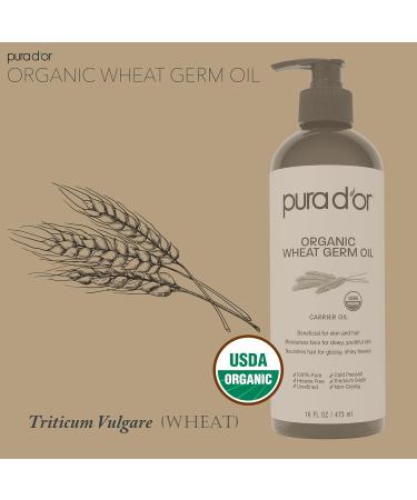 PURA D'OR ORGANIC Wheat Germ Oil (16 Oz x2 32 Oz) 100% Pure & Natural USDA Certified Cold Pressed Carrier Oil - Vitamin E Rich Moisturizing & Nourishing Anti-Aging Properties - Healthy Hair Growth Natural 16 Fl Oz (Pack  - Buy Online on GoSupps.com