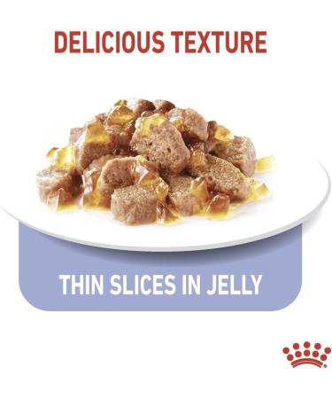 Royal Canin Appetite Control in Jelly Wet Adult Cat Food (12 x 85g) - Buy Online on GoSupps.com