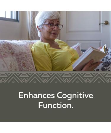 Nature's Way Ginkgold - Cognitive Function and Memory Support Supplement for Adults - Peripheral Circulation - Made with Ginkgo Biloba Standardized Extract 100 Vegetarian Tablets - Buy Online on GoSupps.com