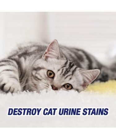 Resolve Pet Carpet Spot & Stain Remover Spray 22oz - Pack of 2 - Buy Online on GoSupps.com