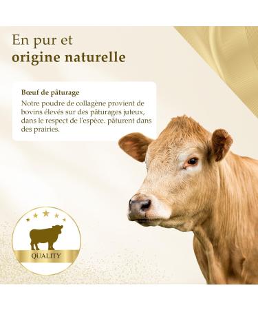 Collagen Powder 700g | 100% Pure Collagen Hydrolyzate | Peptide 1 2 3 | Excellent Solubility | 100% Pure & Original | No Additives | Neutral Taste - Buy Online on GoSupps.com