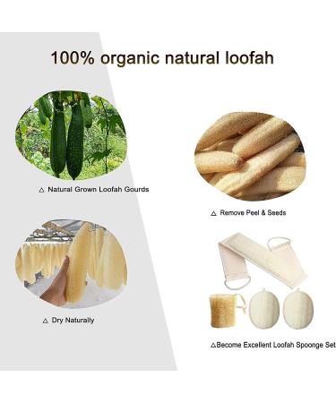 4-in-1 Exfoliating Loofah Back Scrubber Set for Deep Skin Cleansing - Luffa Sponge & Pads for Men and Women - Buy Online on GoSupps.com