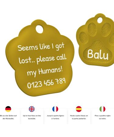 Personalized Gold Engraved Dog Tag Paw - 26mm with 2 Key Rings | International Shipping - Buy Online on GoSupps.com